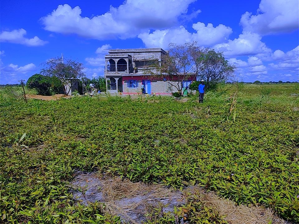 MACHAKOS MATUU KIKESA 1/8 ACRE PLOT